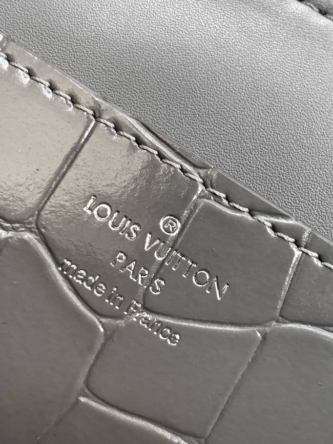 Louis Vuitton Original Leather M84713 gray&silver