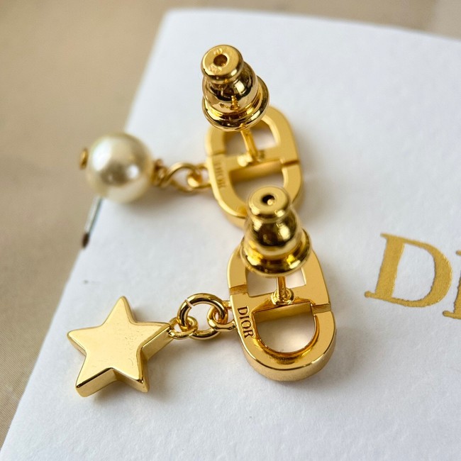 Dior Earring CE15921