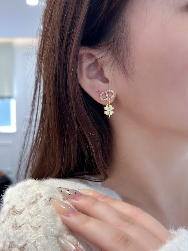 Dior Earring CE15921