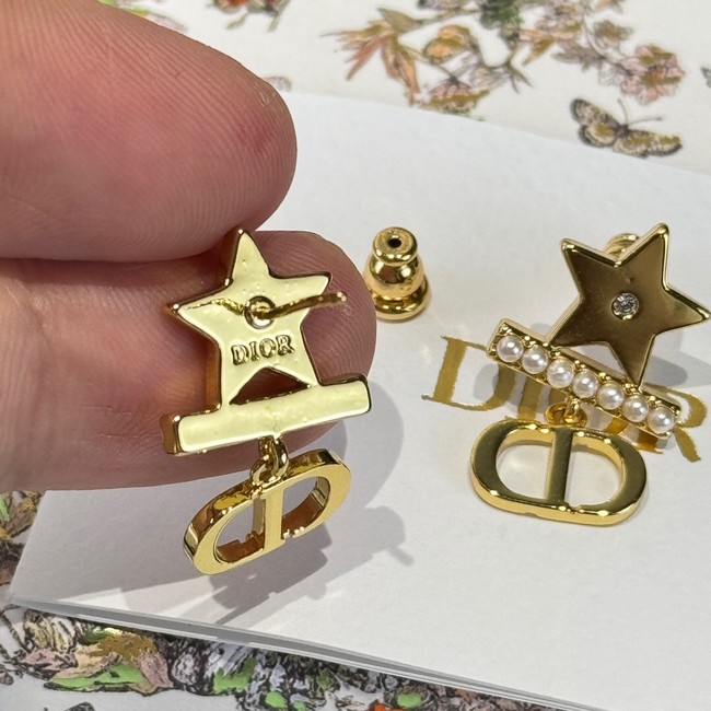 Dior Earring CE15922