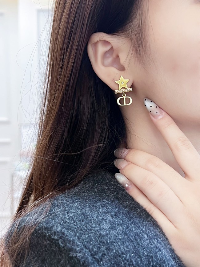 Dior Earring CE15922