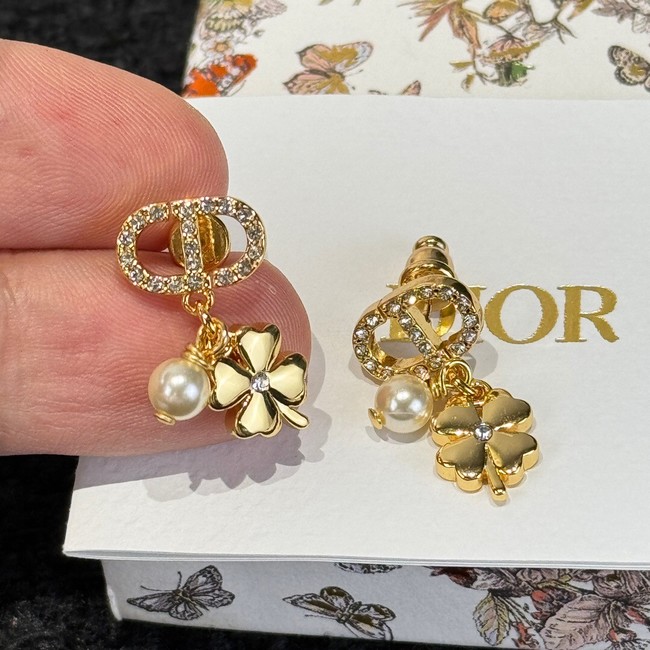 Dior Earring CE15923