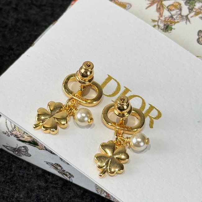 Dior Earring CE15923