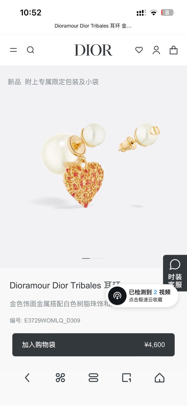 Dior Earring CE15928