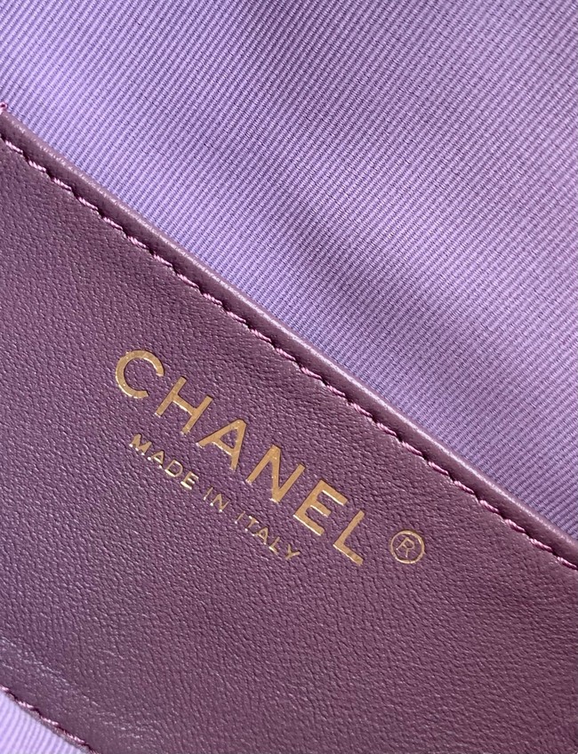 Chanel SUEDE HOBO BAG AS5293 Purple