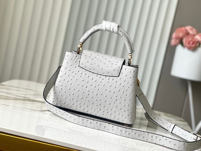 Louis Vuitton Ostrich Capucines BB M12345 gray