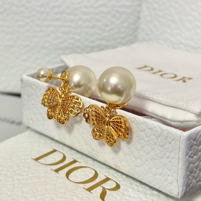 Dior Earring CE15987