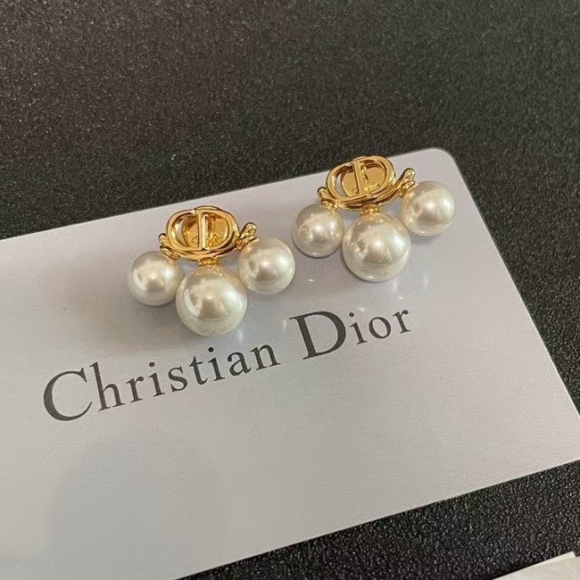 Dior Earring CE16057