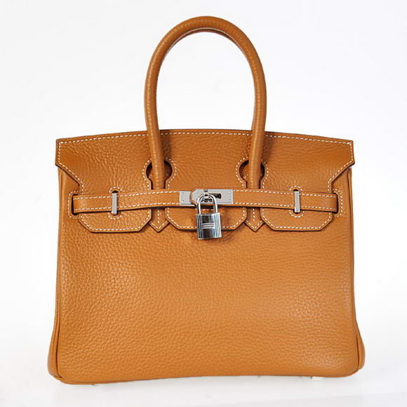 Hermes Birkin 25CM Tote Bags Togo Leather Camel Silver