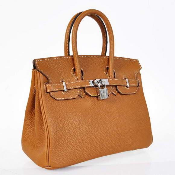 Hermes Birkin 25CM Tote Bags Togo Leather Camel Silver